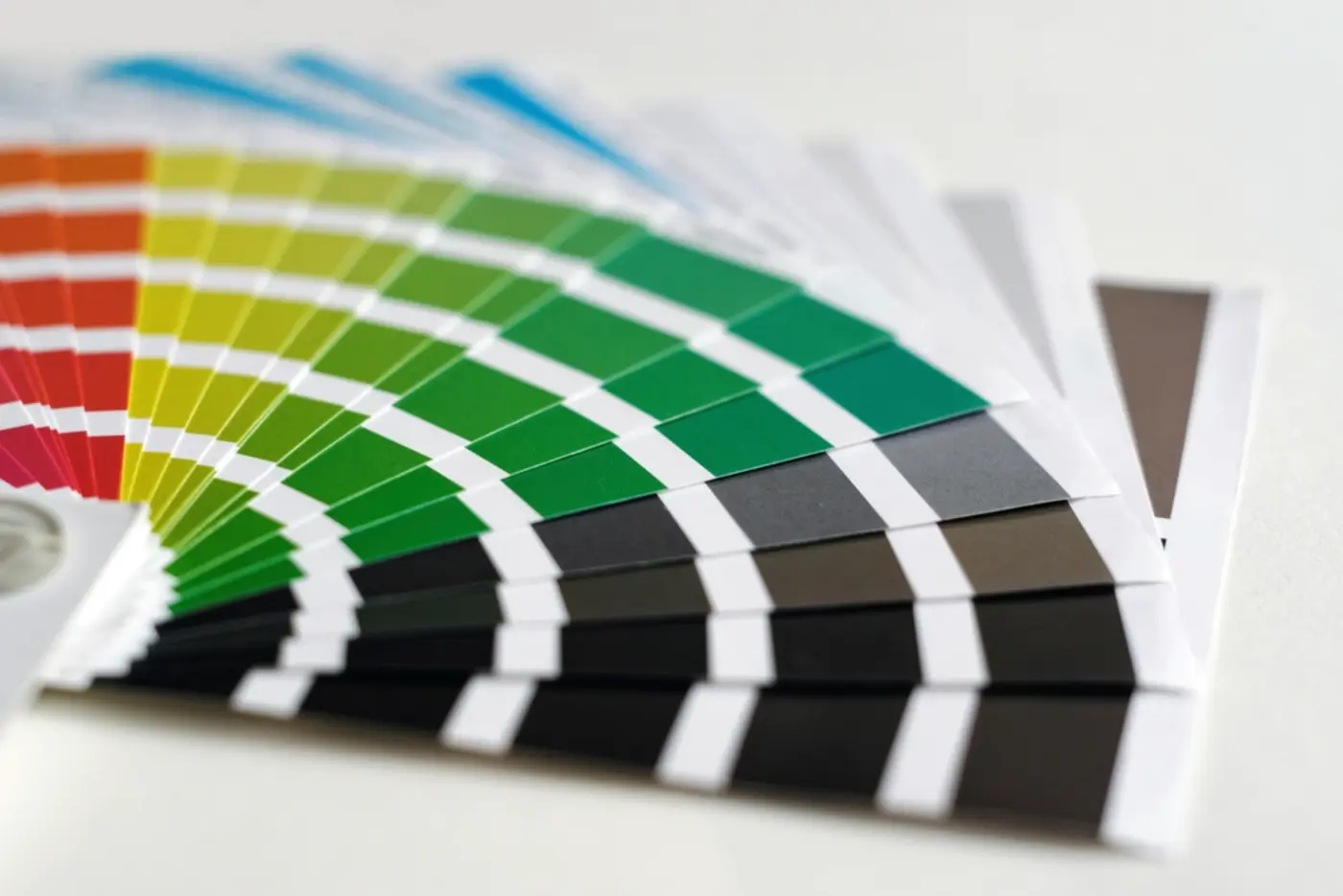 A fanned-out color swatch guide used to choose a brand color palette