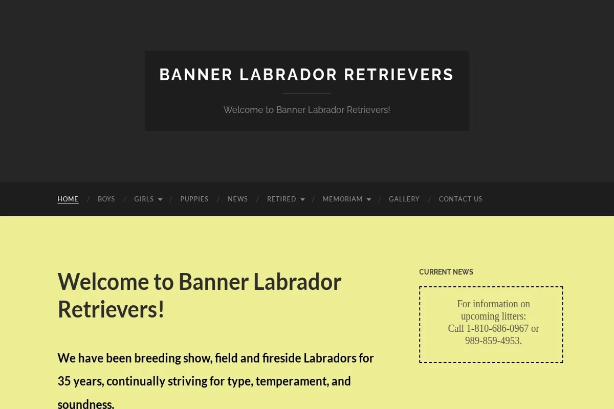 Homepage screenshot of the Banner Labrador Retrievers website built by Vertex Digital Studios