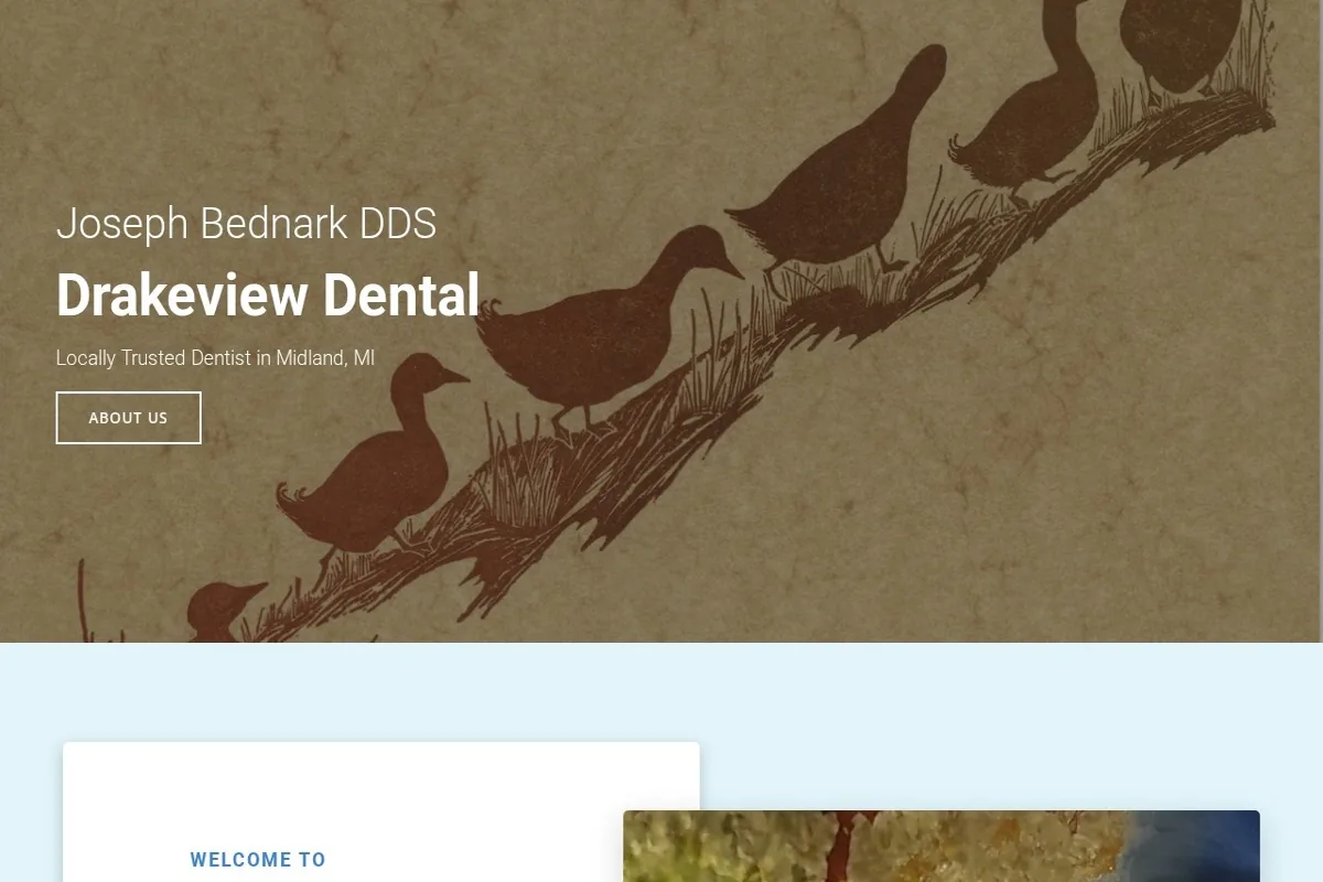 Homepage screenshot of the Drakeview Dental website built by Vertex Digital Studios